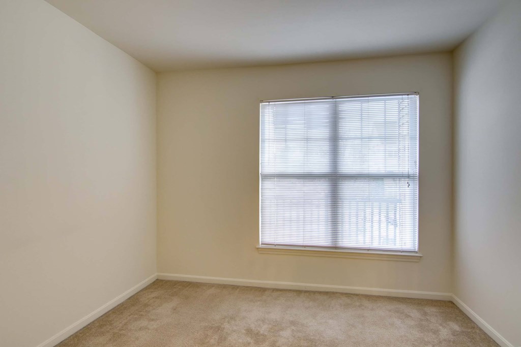 a room with a window and a carpet