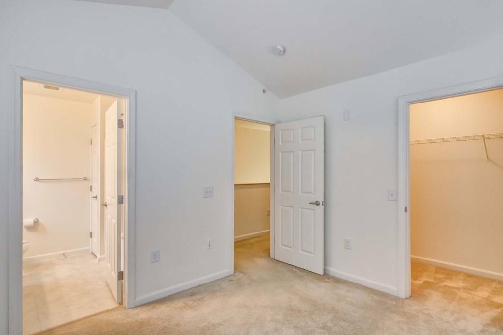 a bedroom with two closets and a door to a closet