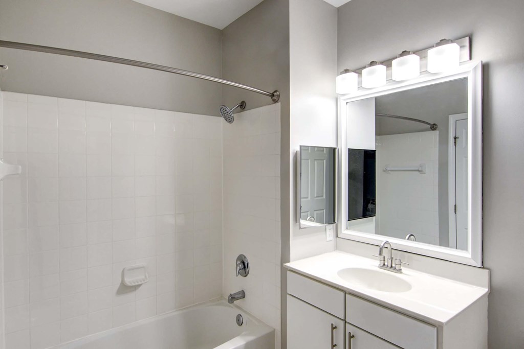 a bathroom with a sink and a mirror and a bath tub