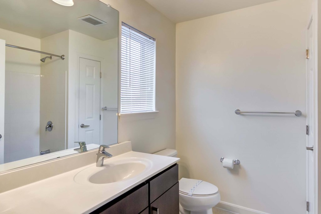 a bathroom with a sink and a toilet and a mirror