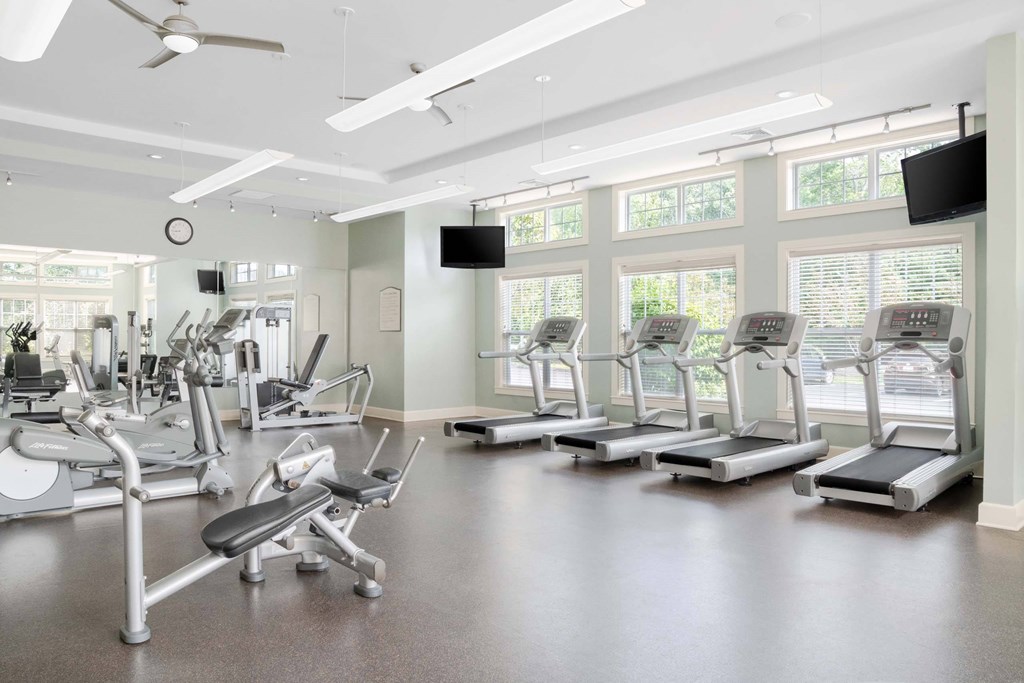 the gym has a variety of cardio equipment and windows