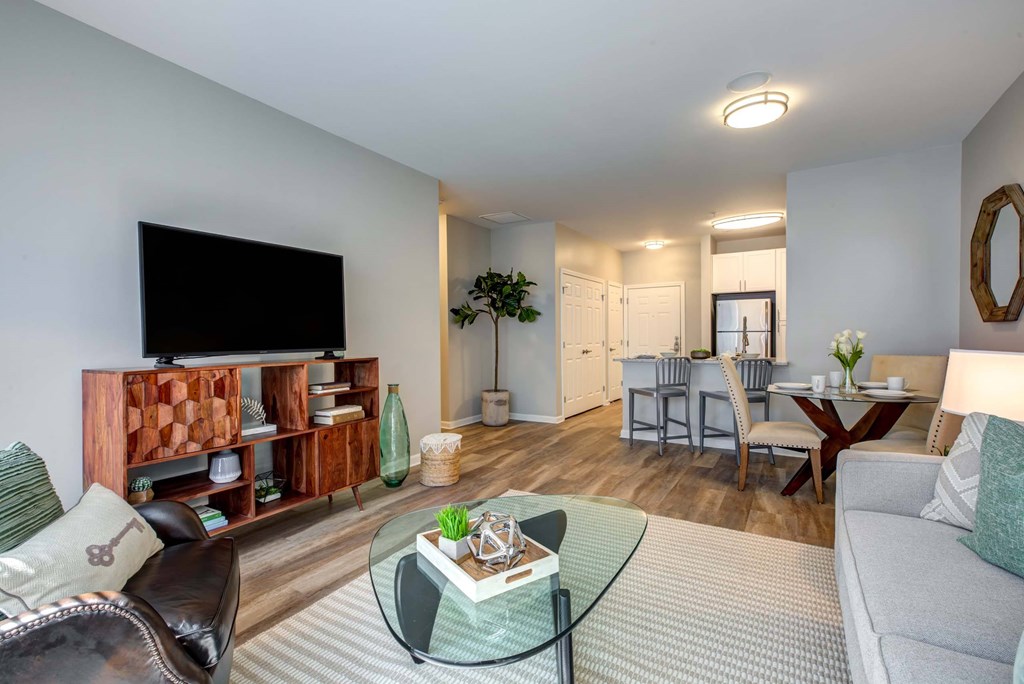 a living room with a couch and a tv