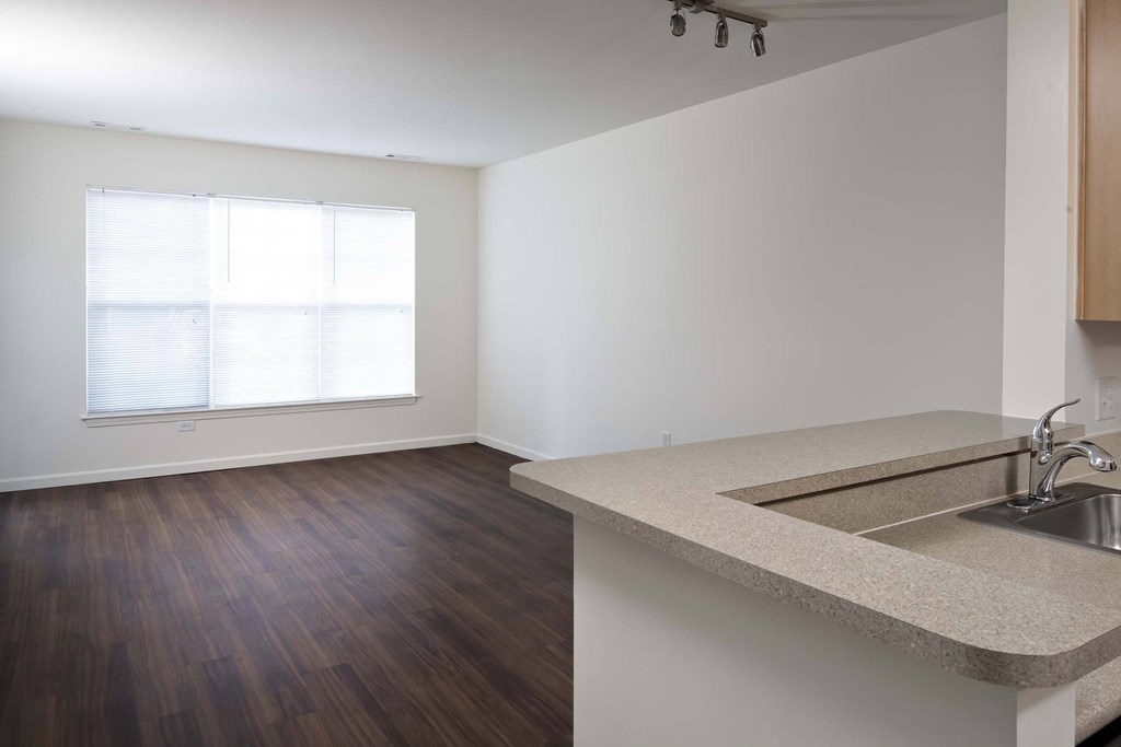 an empty living room with a sink and a window