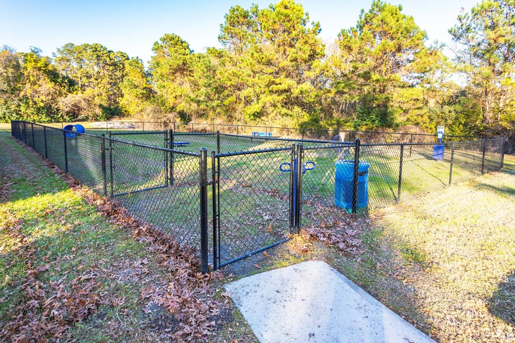 the dog park is fenced in with a chain link fence