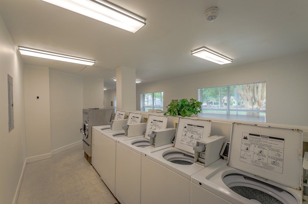 a washer and dryer room with a row of washing machines