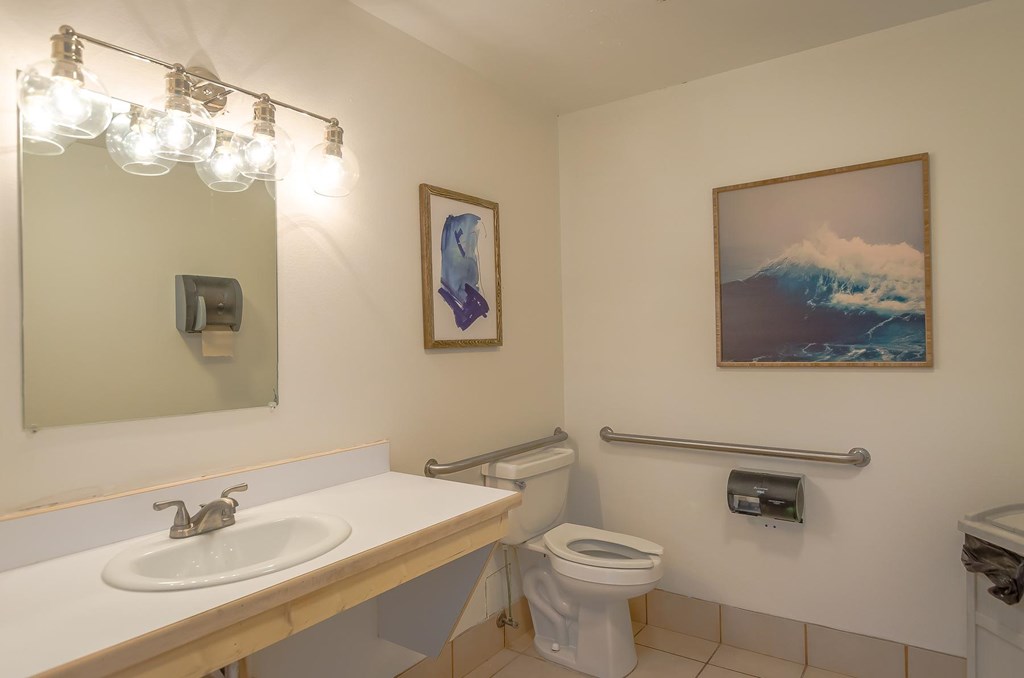 a bathroom with a sink and a toilet and a mirror