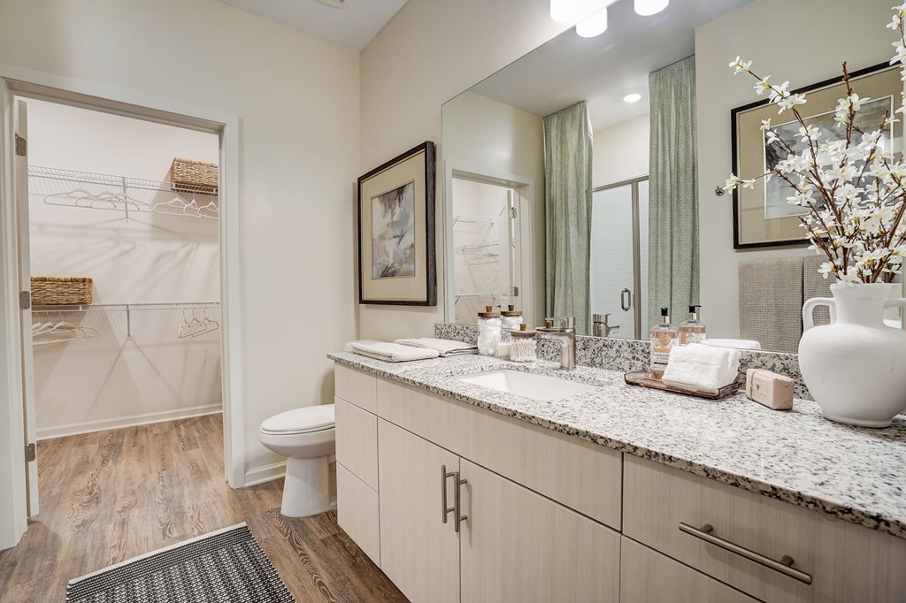 a bathroom with a sink and a toilet
