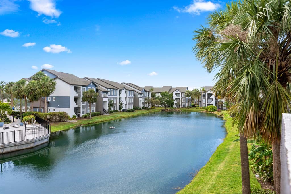a body of water surrounded by houses and palm trees