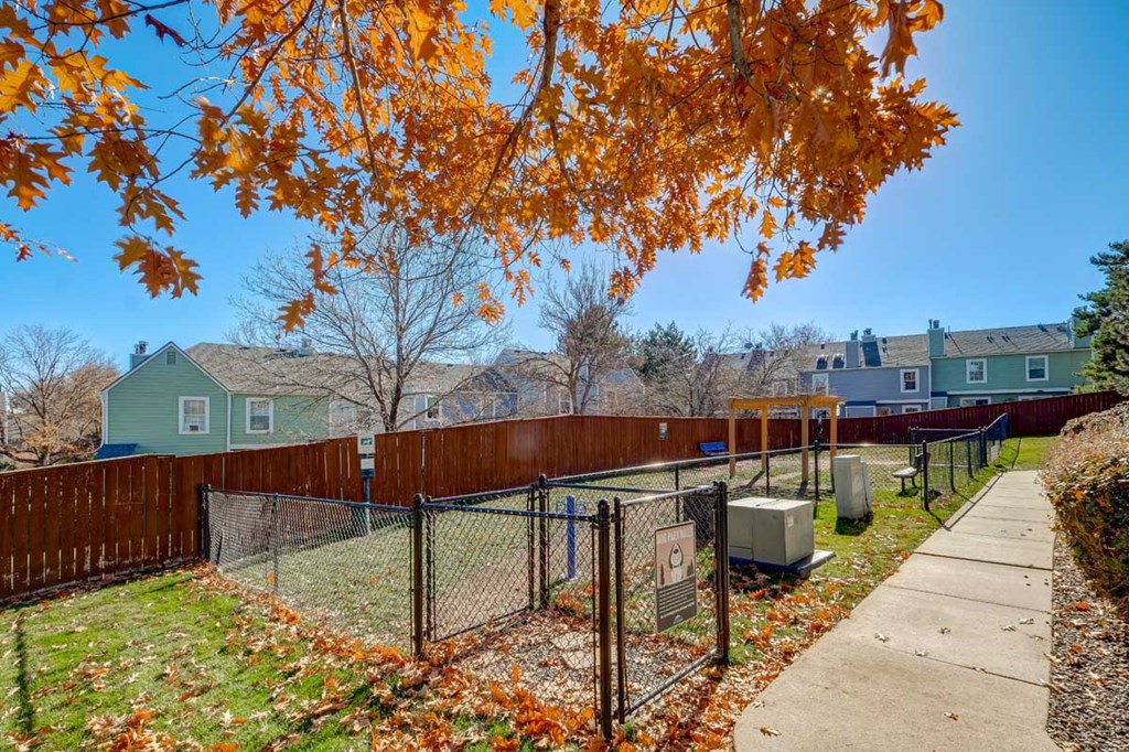 a yard with a chain link fence and a dog park