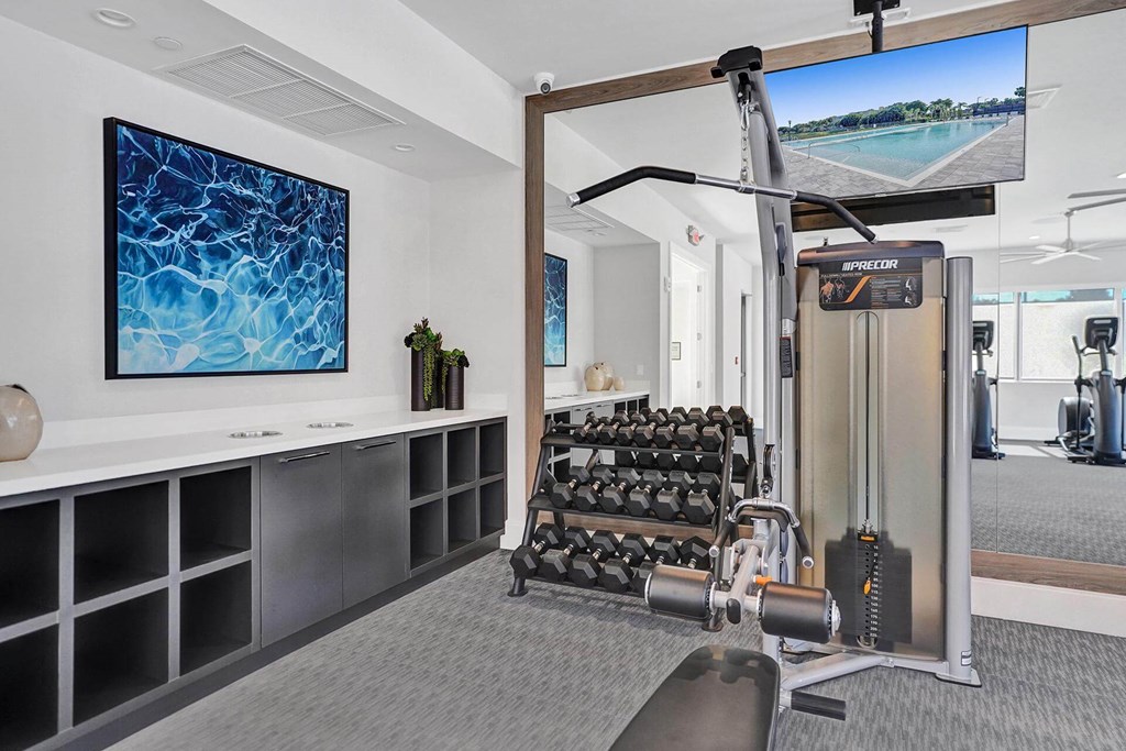 the gym in the home of person