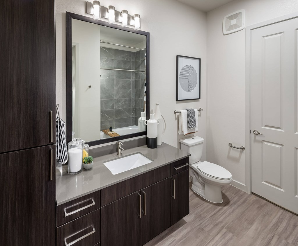 a bathroom with a large mirror and a toilet