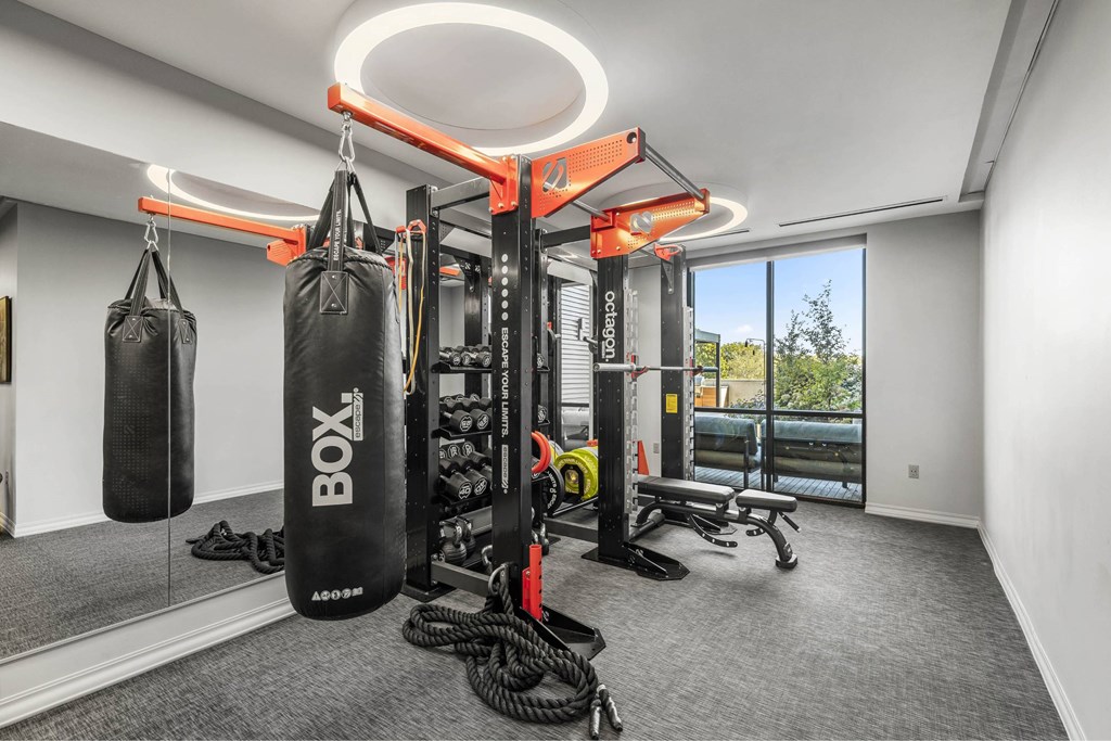 a gym with two punching bags hanging from the ceiling