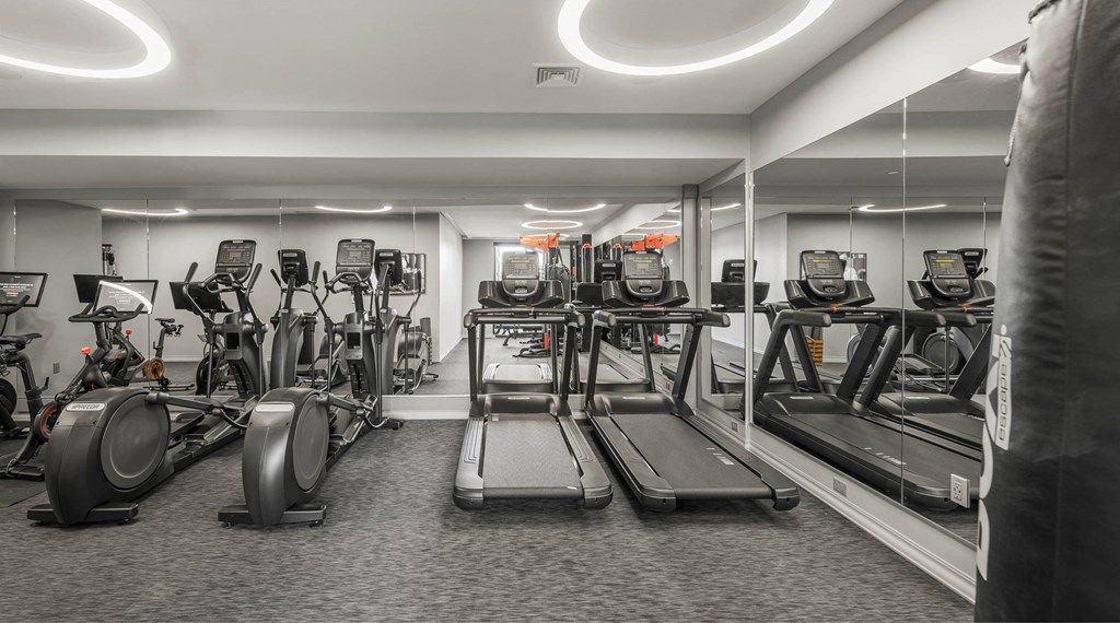 a gym with cardio equipment and weights in a building