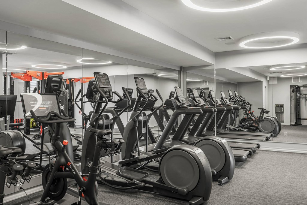 a gym filled with rows of exercise bikes