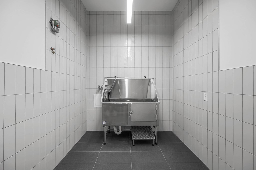 a large stainless steel sink in a white room