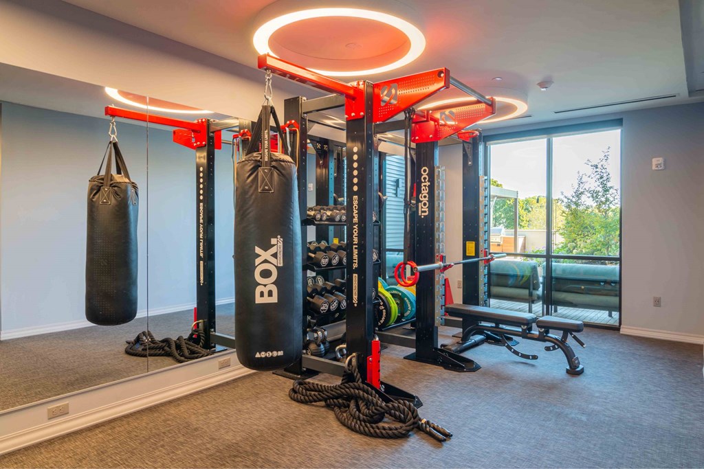 a home gym with two punching bags and a weight rack