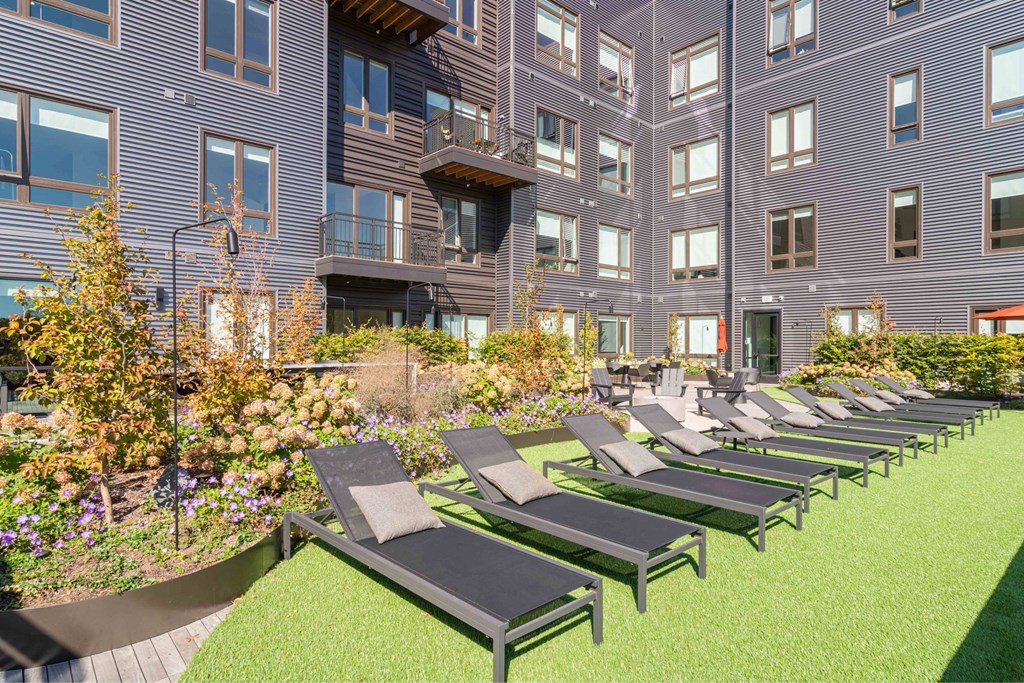 a row of lounge chairs on a lawn in front of an apartment building