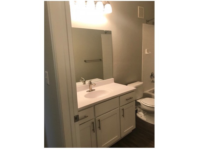 a bathroom with a sink and a toilet and a mirror