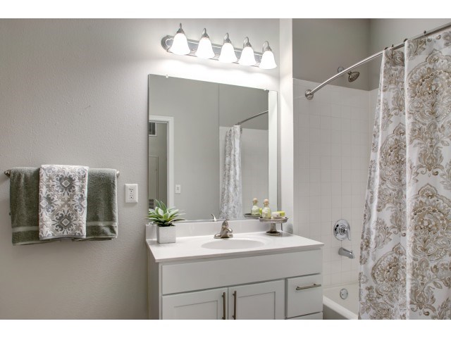 a bathroom with a sink and a shower and a mirror