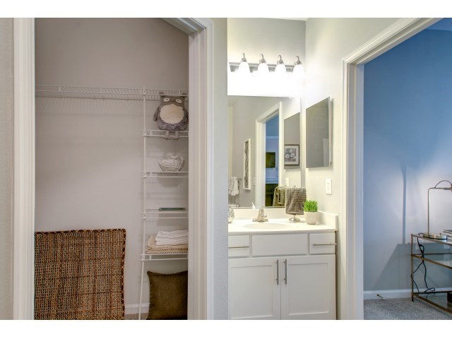 a bathroom with a sink and a mirror and a closet