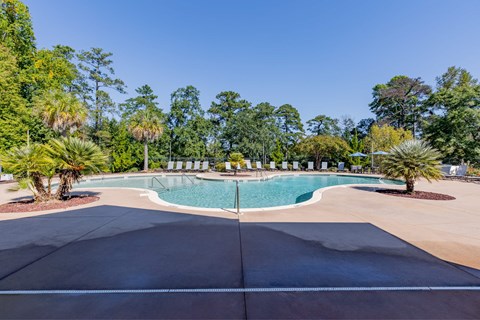 a swimming pool at a park with trees