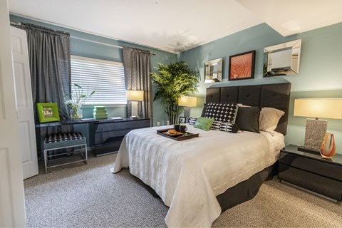 Large well lit bedroom with plush carpets and large windows 