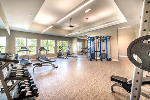 A spacious home gym with a variety of equipment including a squat rack, bench press, and dumbbells.