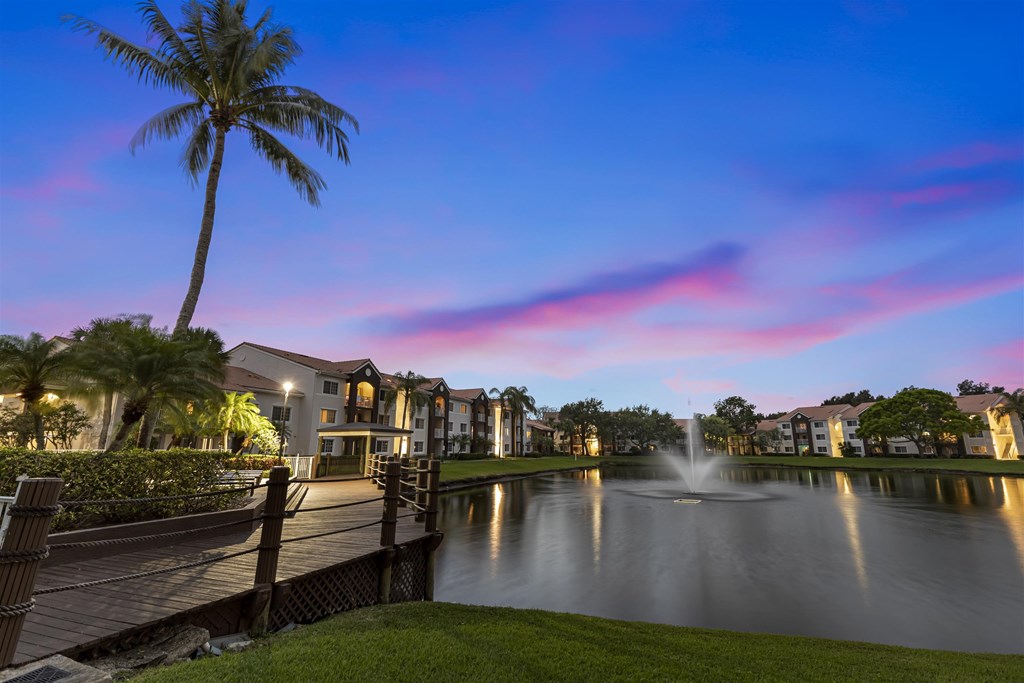 a pond with a fountain at dusk with palm trees