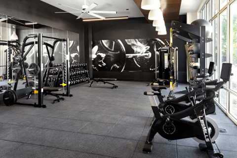 A gym with a row of exercise bikes and a wall mural.