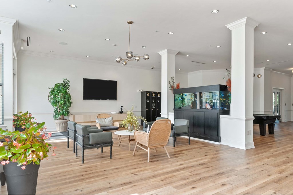 A living room with a grey sofa, a black cabinet, and a wooden floor.