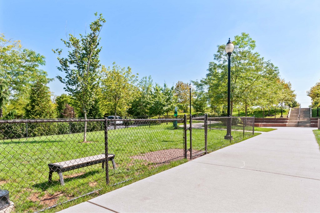 A park with a bench and a fence.