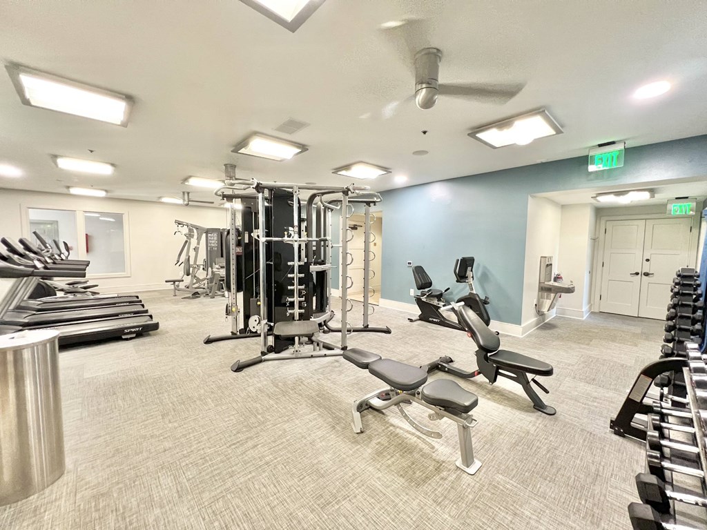 A gym with a variety of equipment including treadmills, weights, and benches.