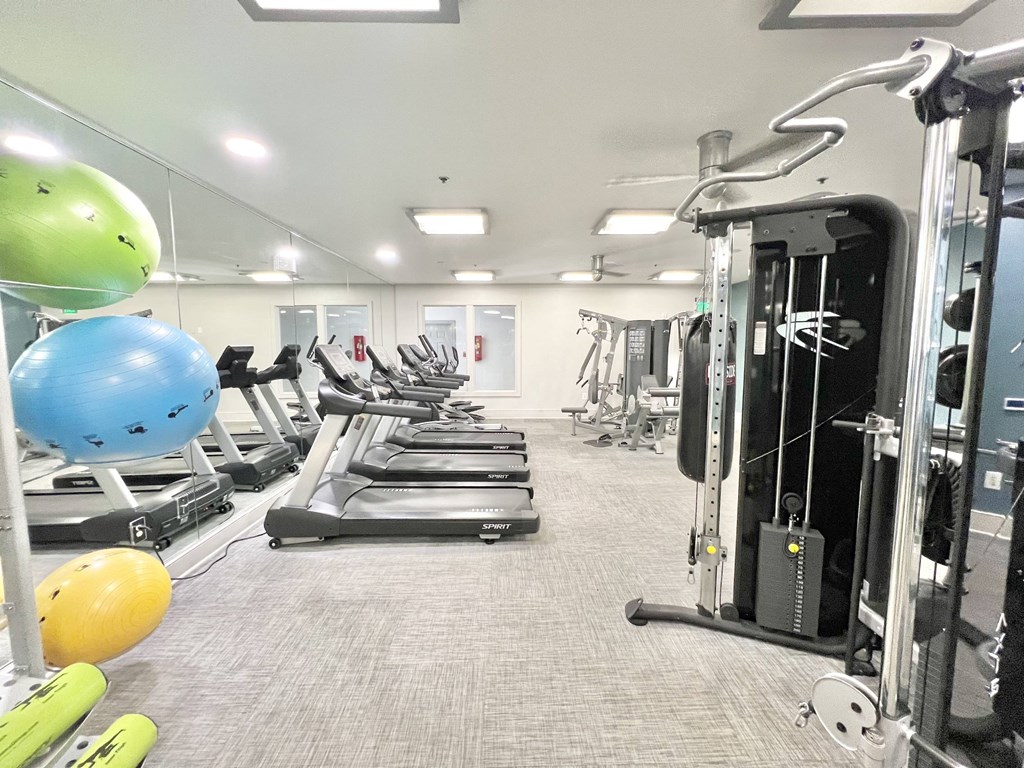A gym with treadmills, weights, and exercise balls.