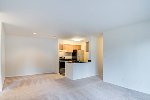 A kitchen area with a counter and cabinets is visible through a doorway.