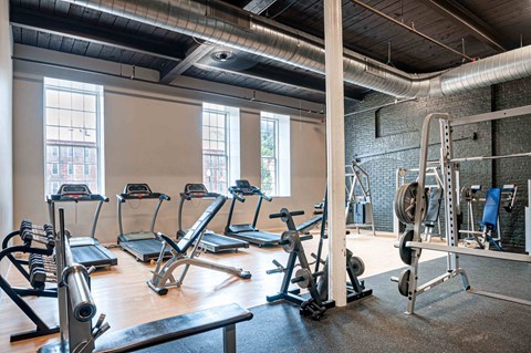 A gym with treadmills, weights, and a bench.