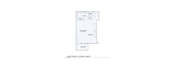A floor plan of a studio apartment with a living area, kitchen, bathroom and closet.