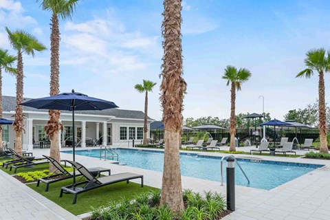 A pool surrounded by palm trees and lounge chairs.