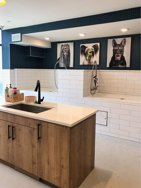 A kitchen with a sink and cabinets.