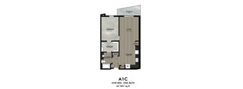 A 1 bedroom apartment with one bathroom is 831 square feet.