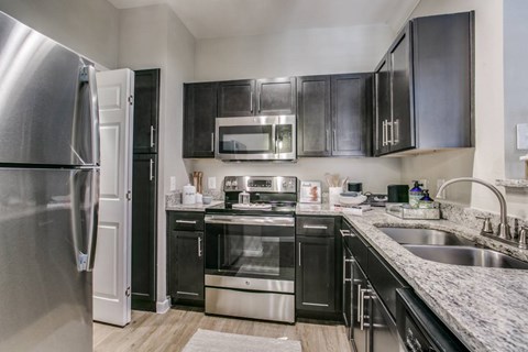 A modern kitchen with black cabinets and stainless steel appliances.