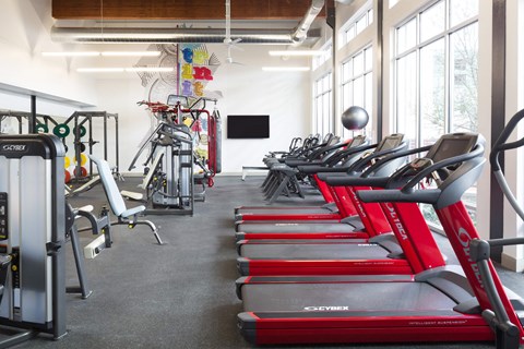 A gym with treadmills and exercise equipment.