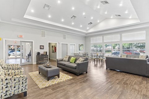 A spacious living room with a grey couch and a yellow rug.