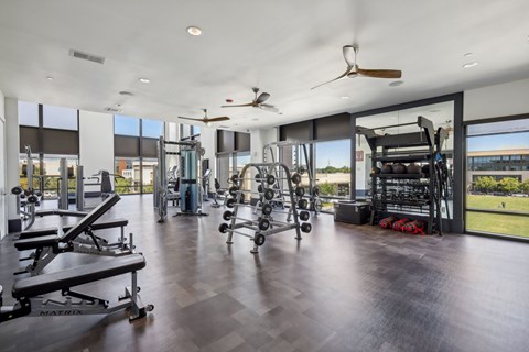 A gym with a variety of equipment including a weight bench, a squat rack, and a treadmill.