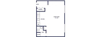 A floor plan of a small apartment with a living area, kitchen, bathroom, and closet.