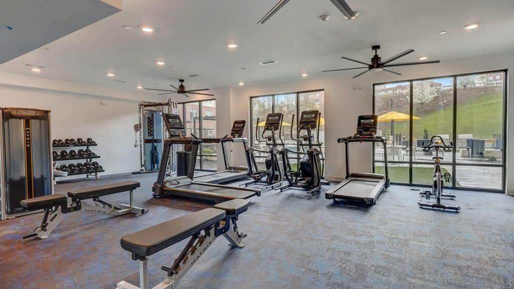 A spacious home gym with a variety of equipment including treadmills, weights, and a bench press. A spacious home gym with a variety of equipment including treadmills, weights, and a bench press.