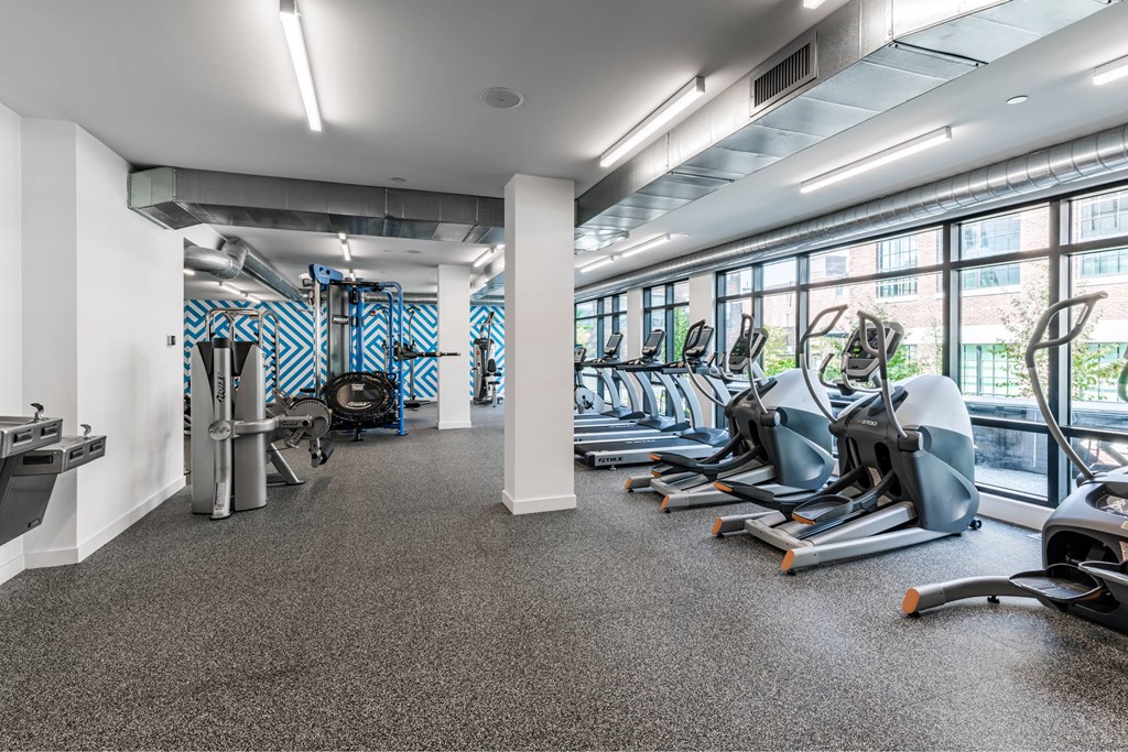 A gym with treadmills, weights, and exercise equipment.