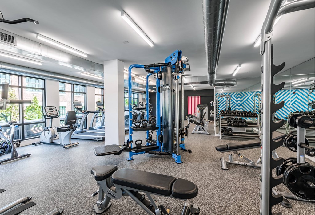 A well-equipped gym with a variety of machines and weights.