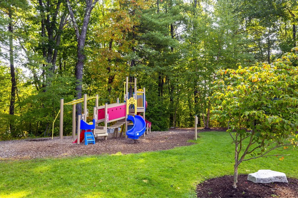 Playground Playground
