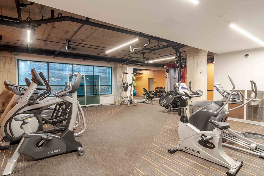 A gym with treadmills and elliptical machines.