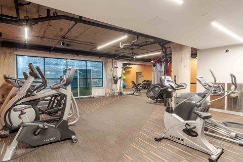 A gym with treadmills and elliptical machines.